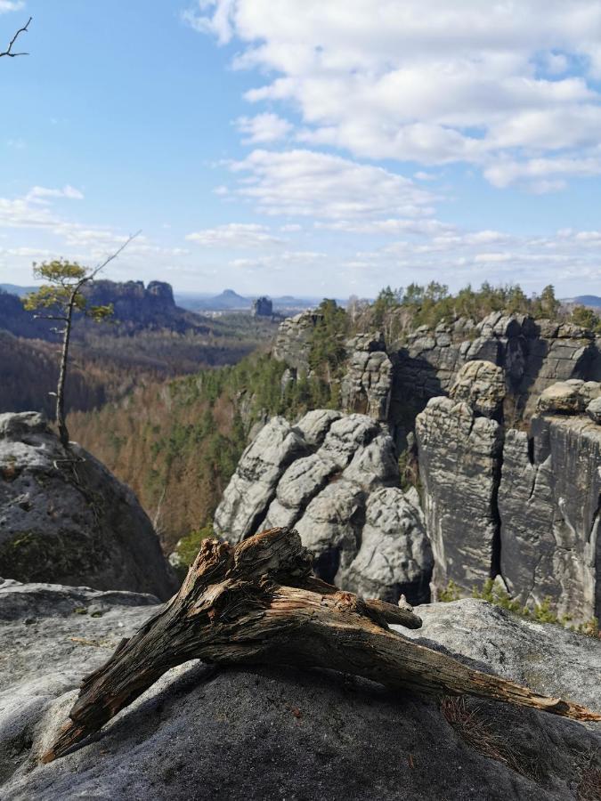 Tinyroom Mit Ausblick Königstein an der Elbe Zewnętrze zdjęcie