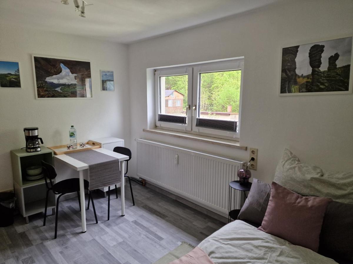 Tinyroom Mit Ausblick Königstein an der Elbe Zewnętrze zdjęcie