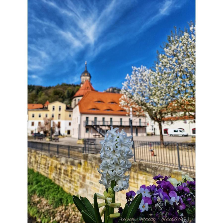Tinyroom Mit Ausblick Königstein an der Elbe Zewnętrze zdjęcie