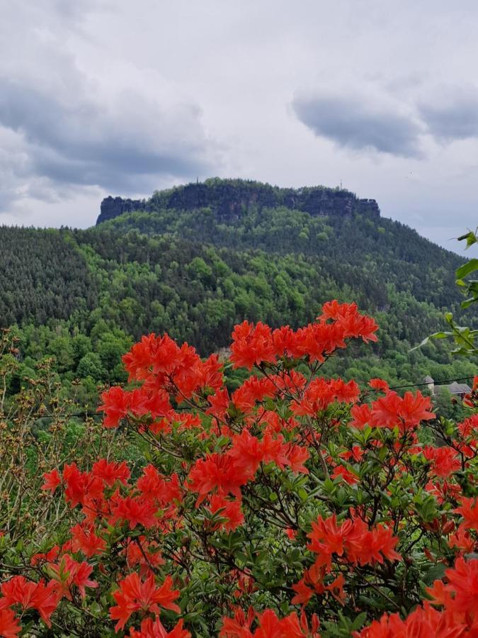 Tinyroom Mit Ausblick Königstein an der Elbe Zewnętrze zdjęcie